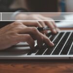 Tienda Digital del Gobierno Federal: sus lineamientos.